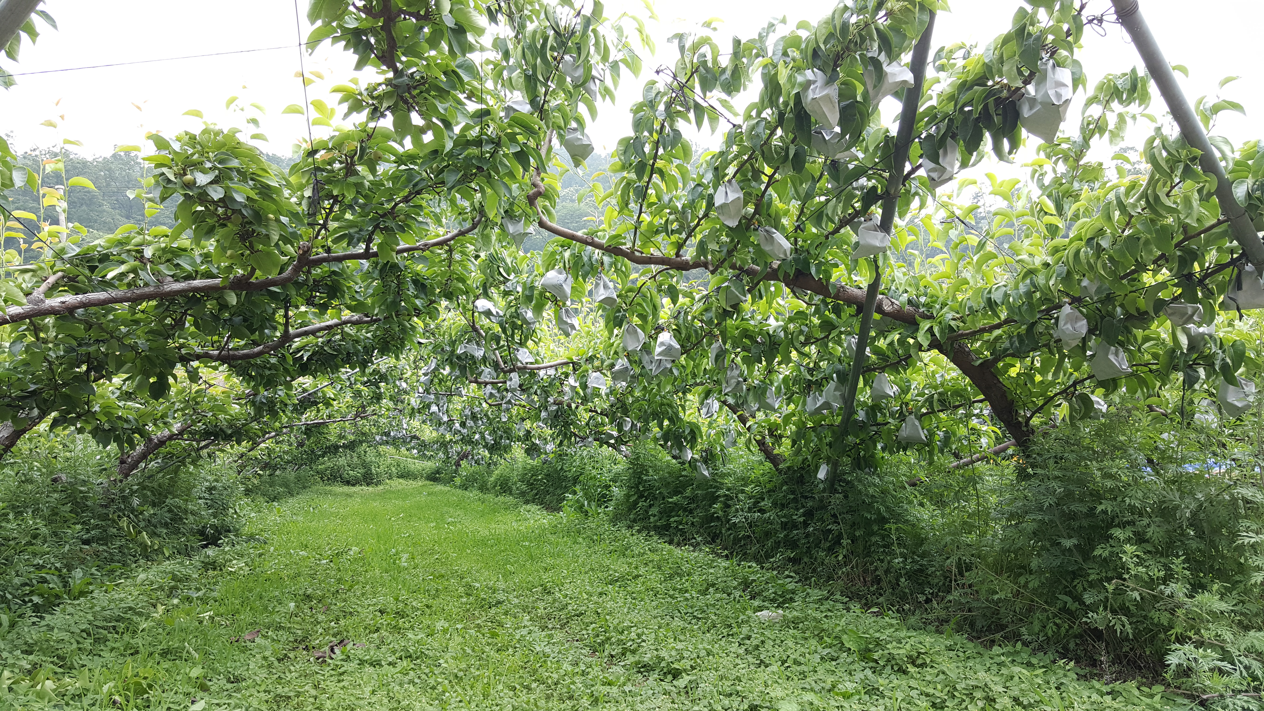 20160607_113126.jpg