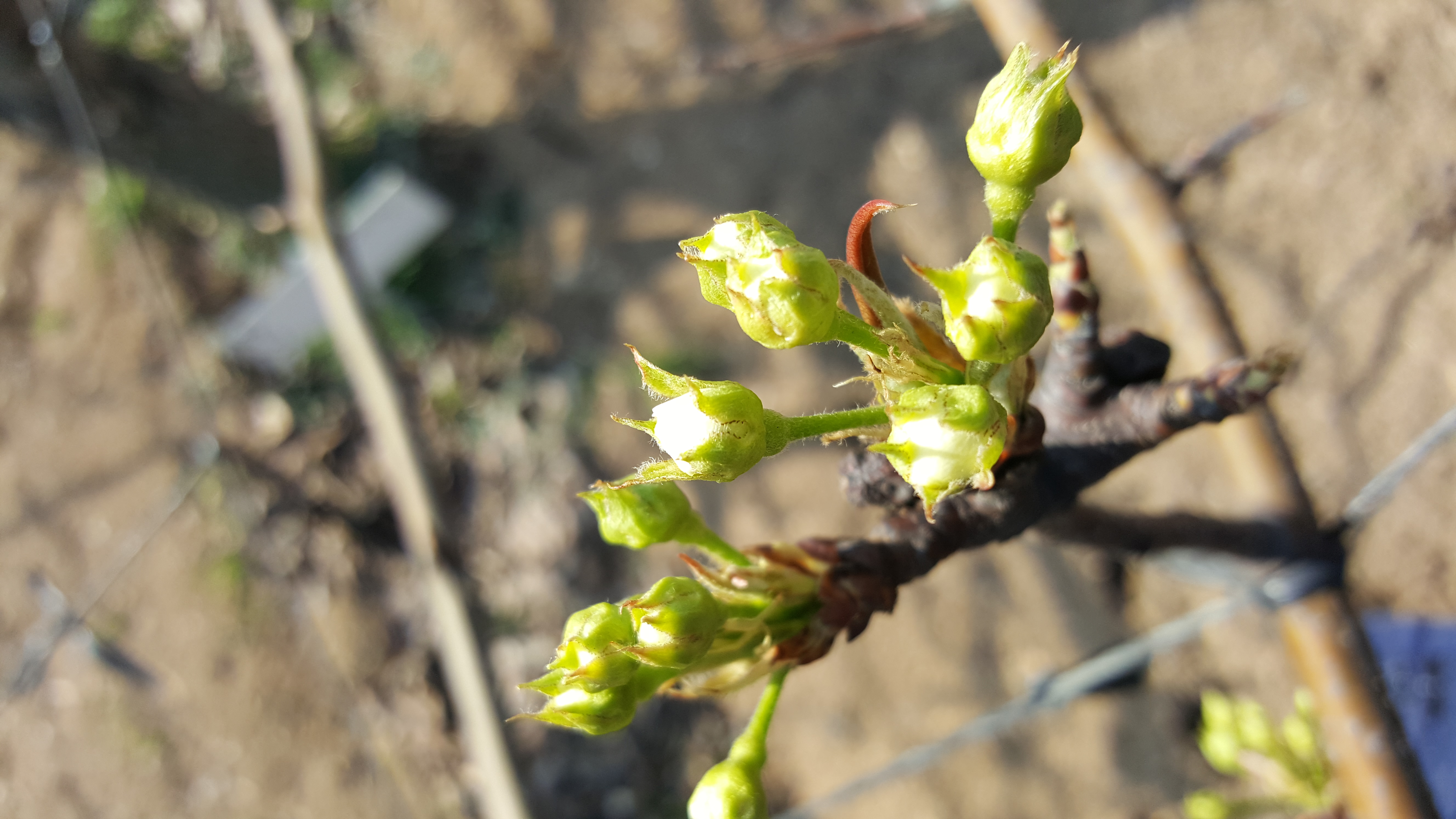20170415_154136.jpg