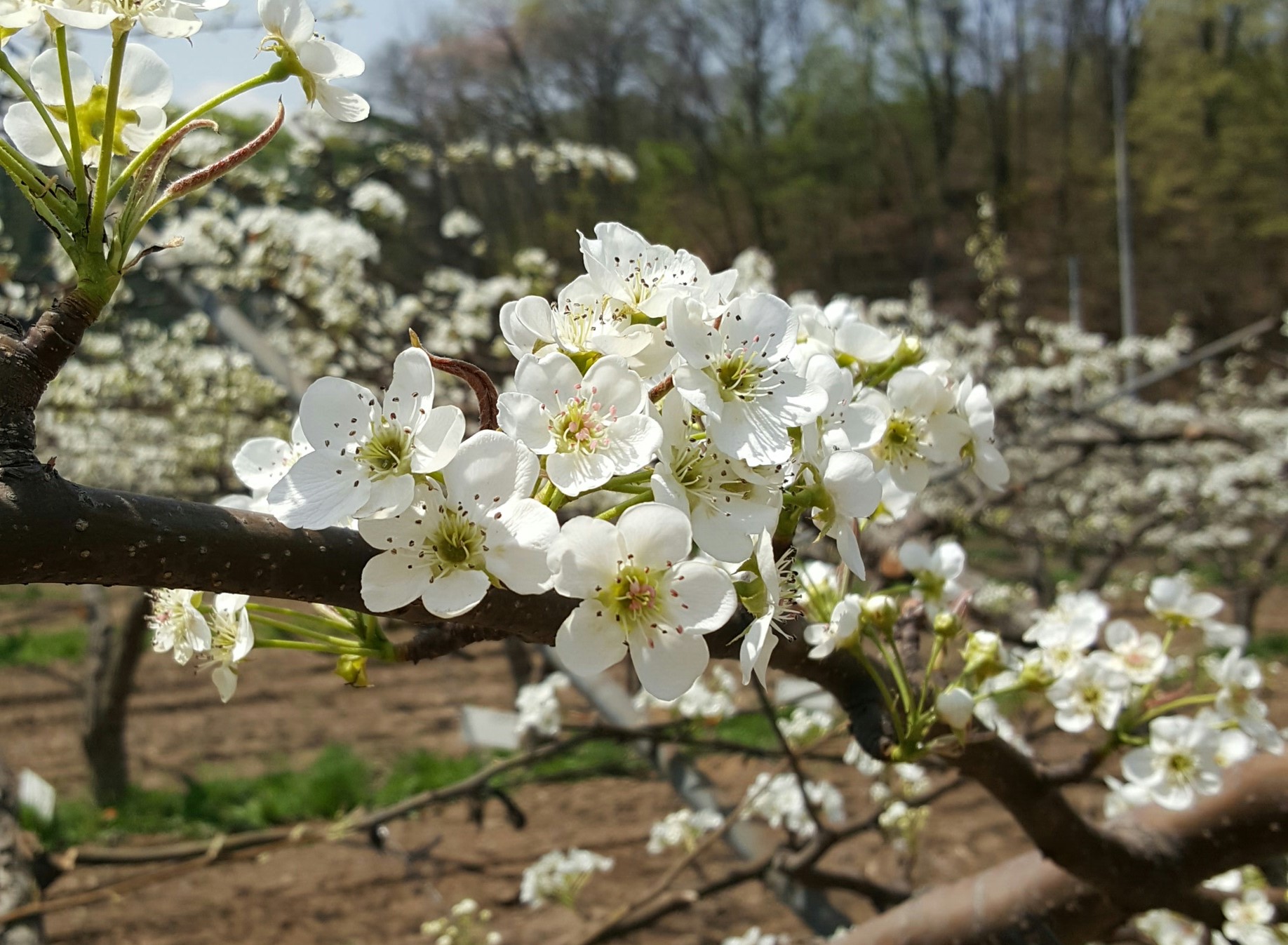 20170421_114909.jpg