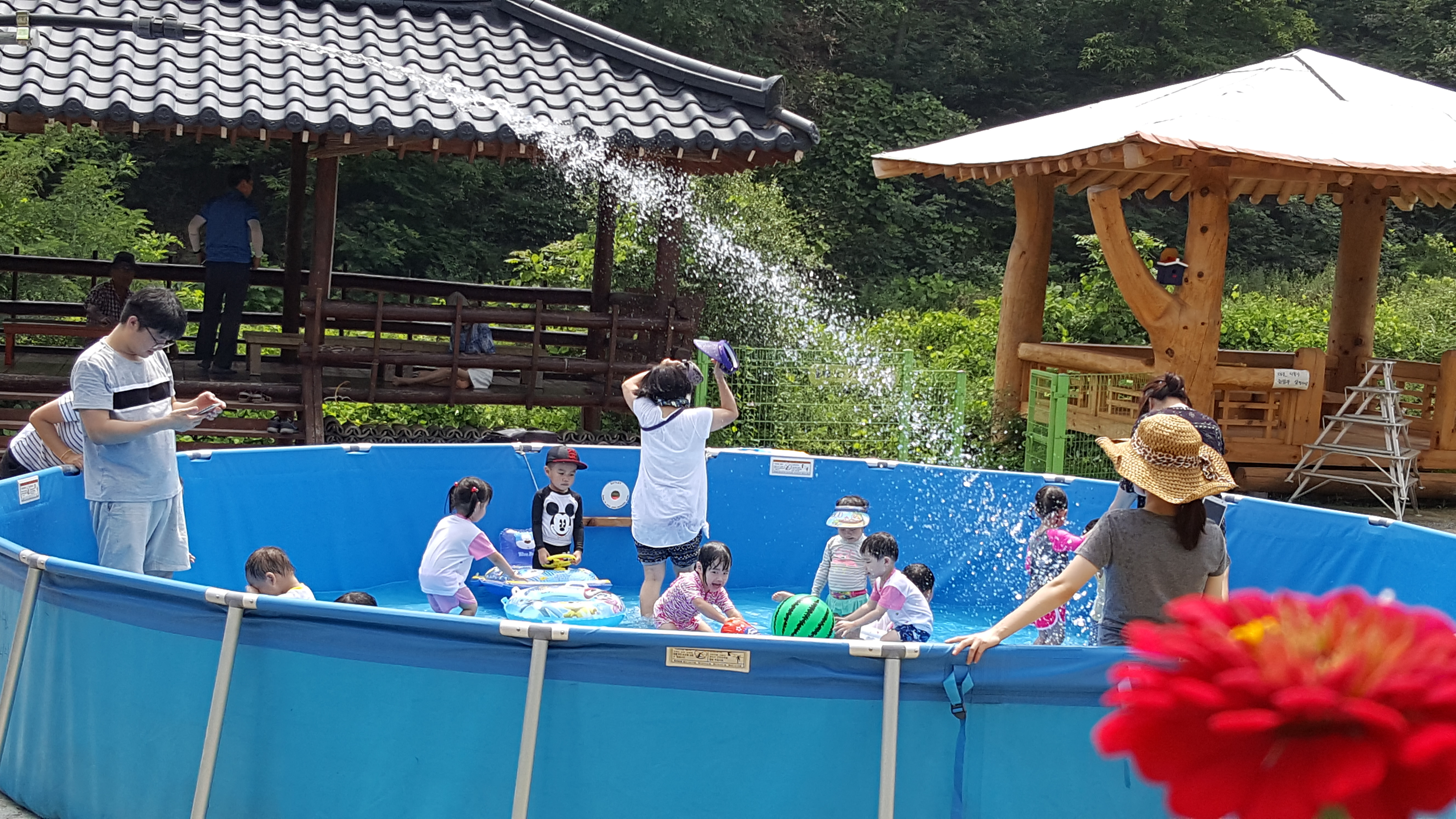 20170720_112314[1].jpg