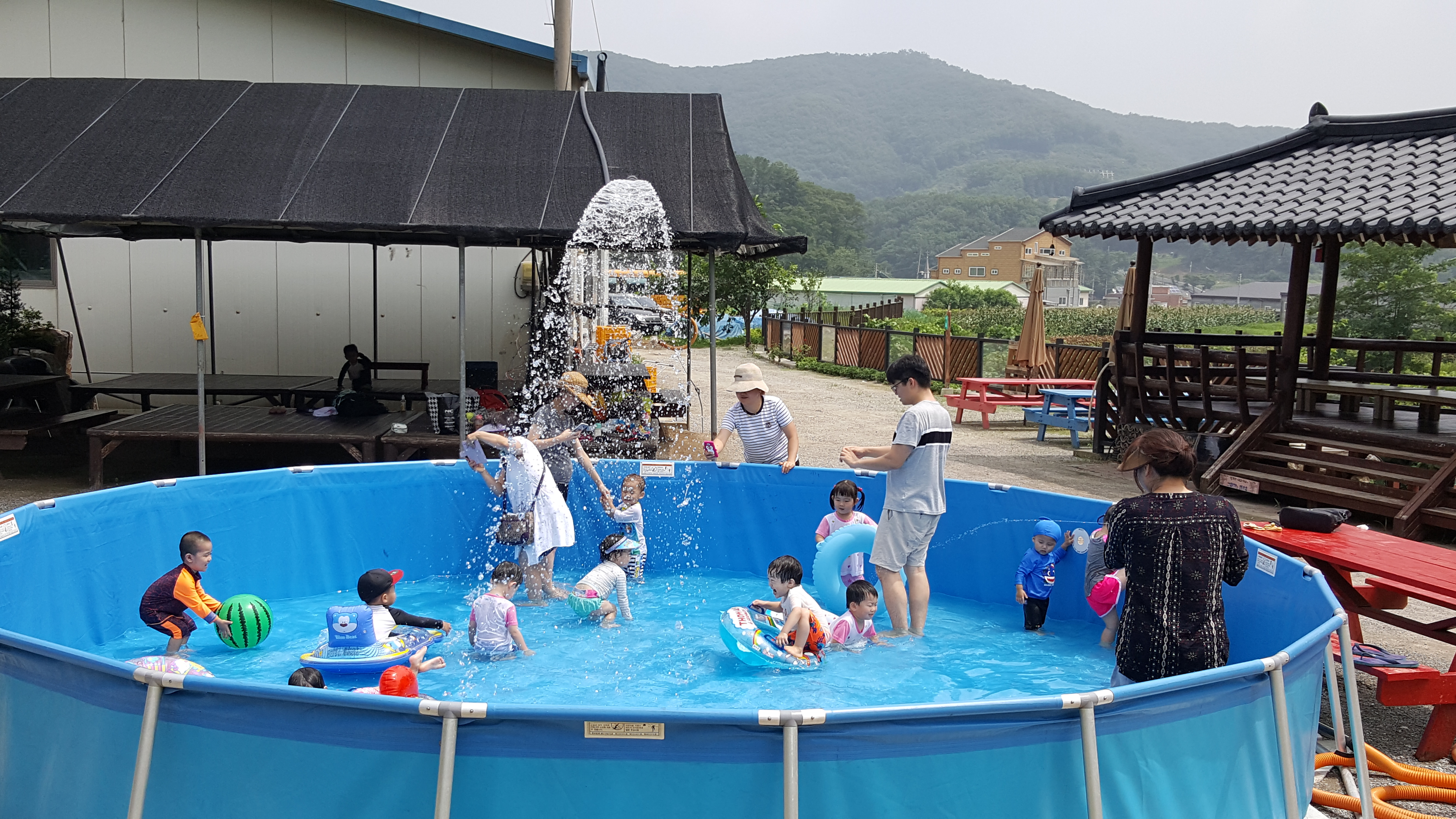 20170720_112136[1].jpg