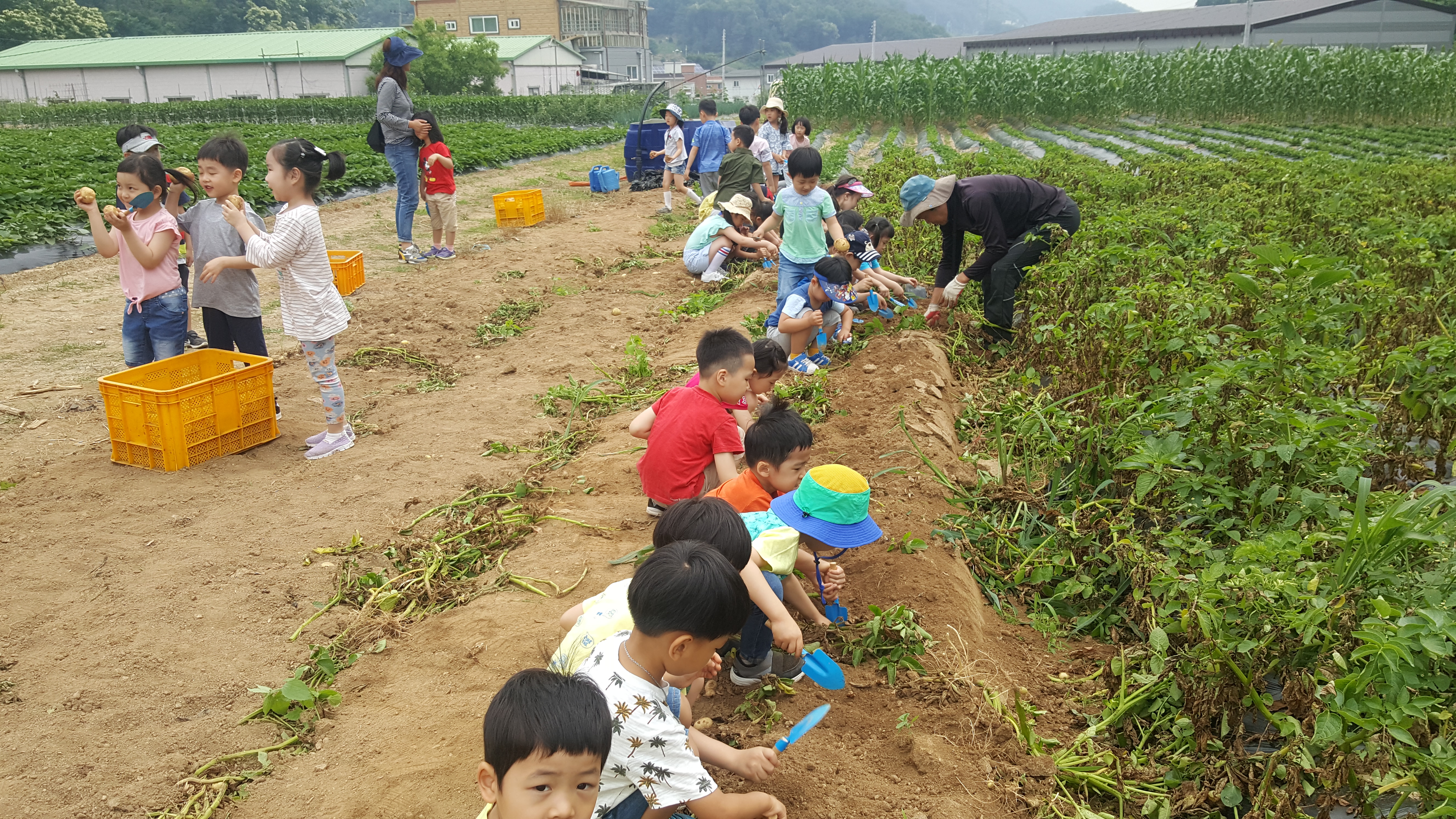 20180619_110340.jpg