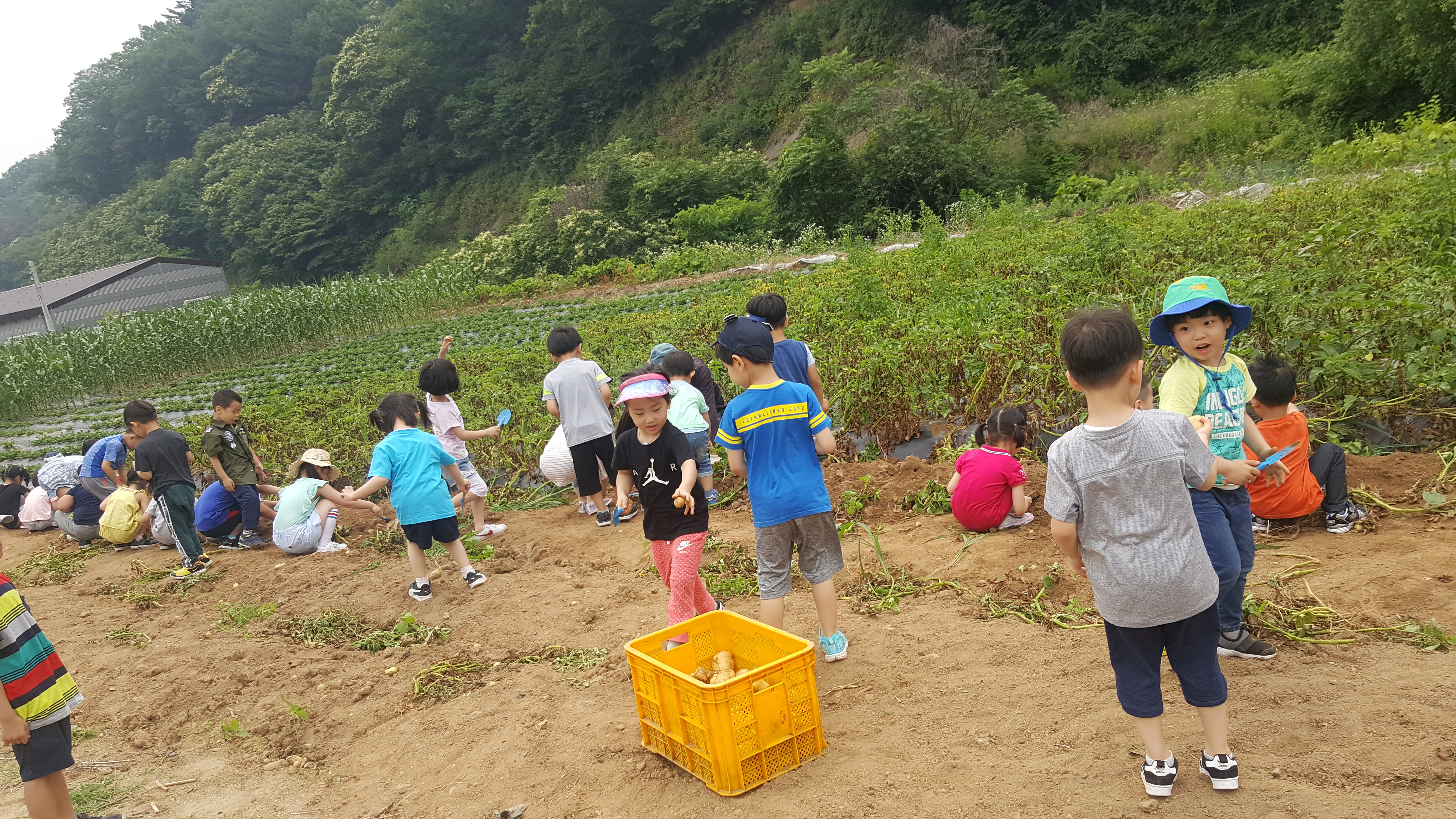 20180619_110325.jpg