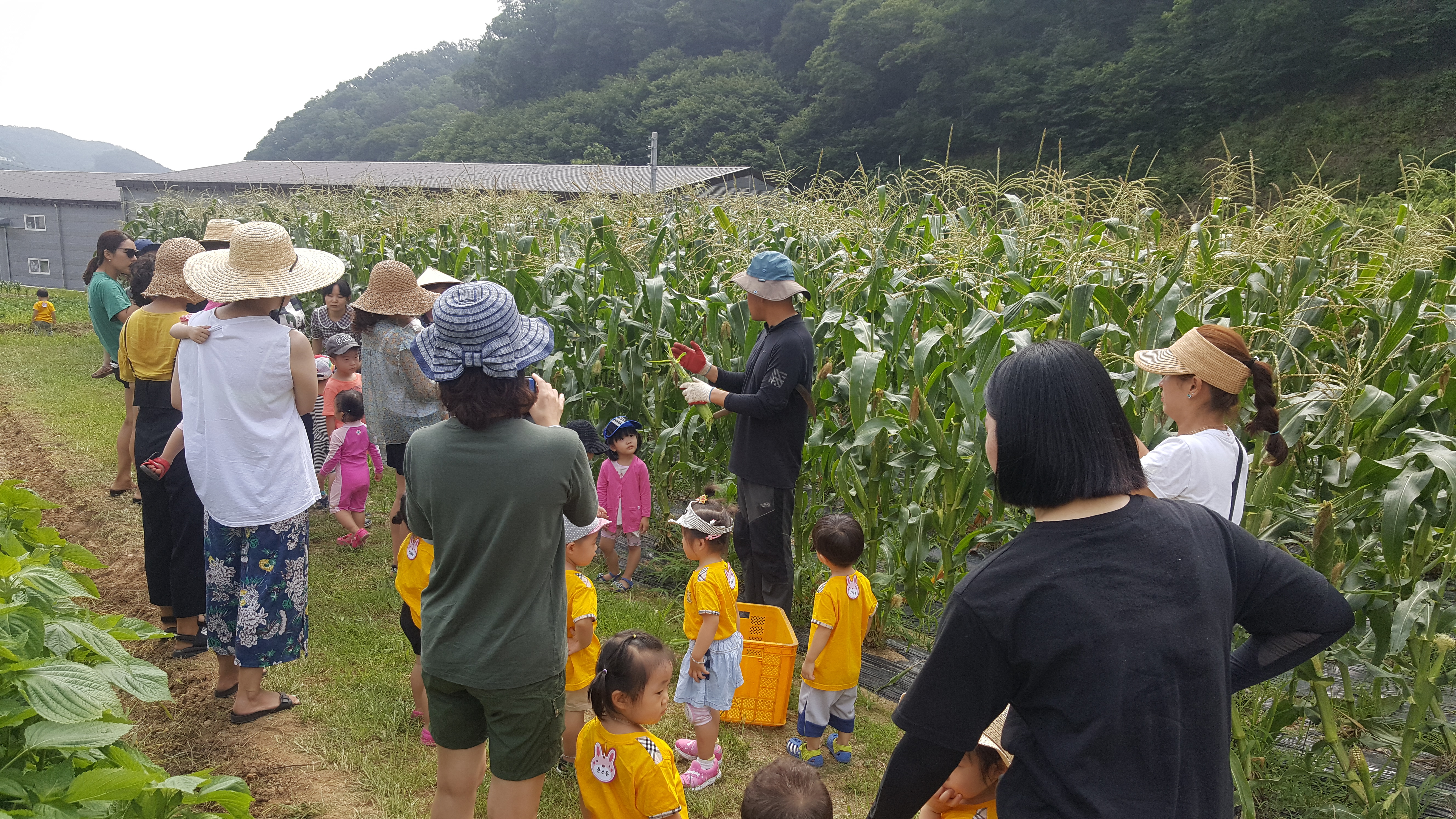 20180720_103309.jpg