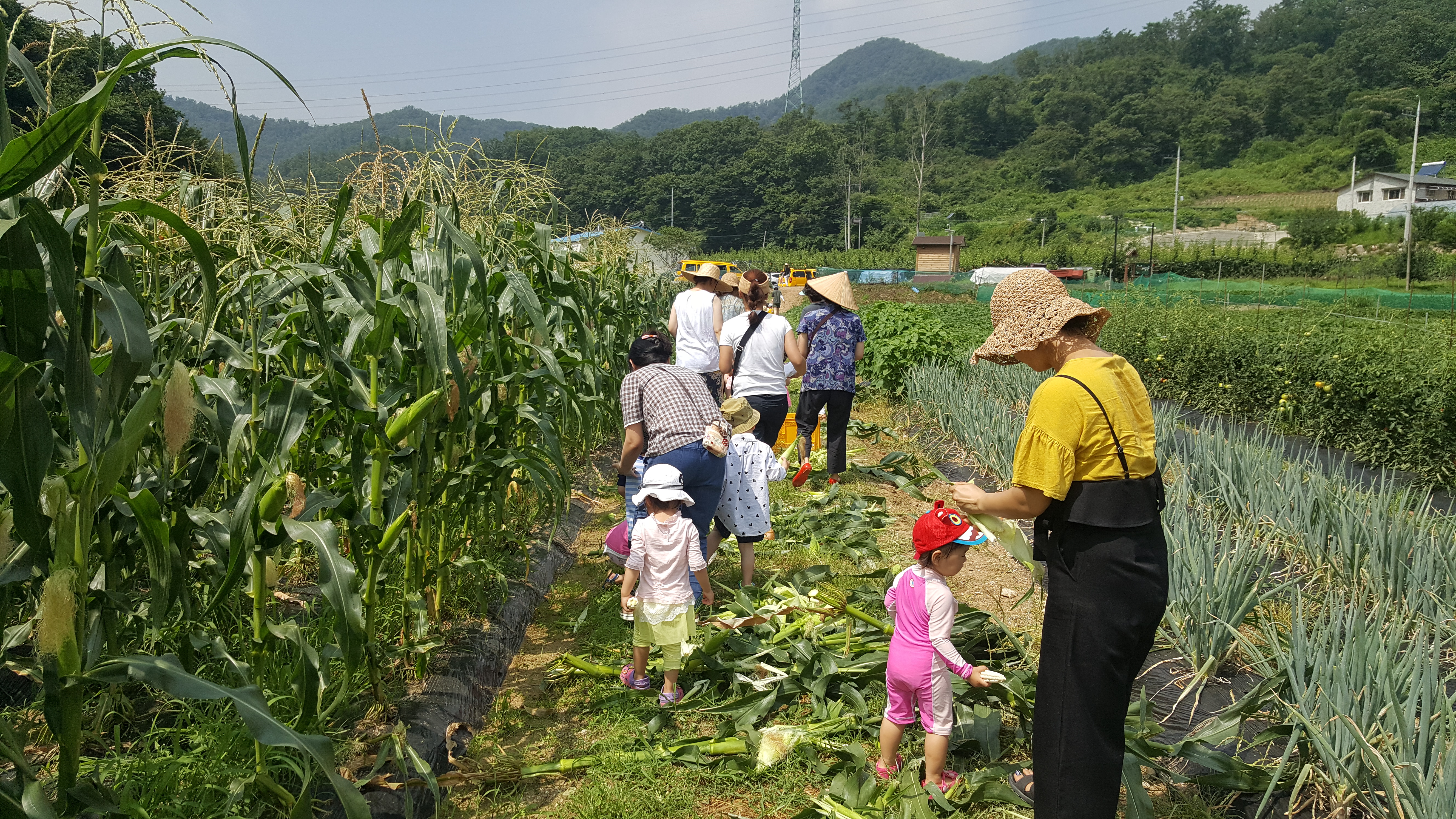 20180720_104035.jpg