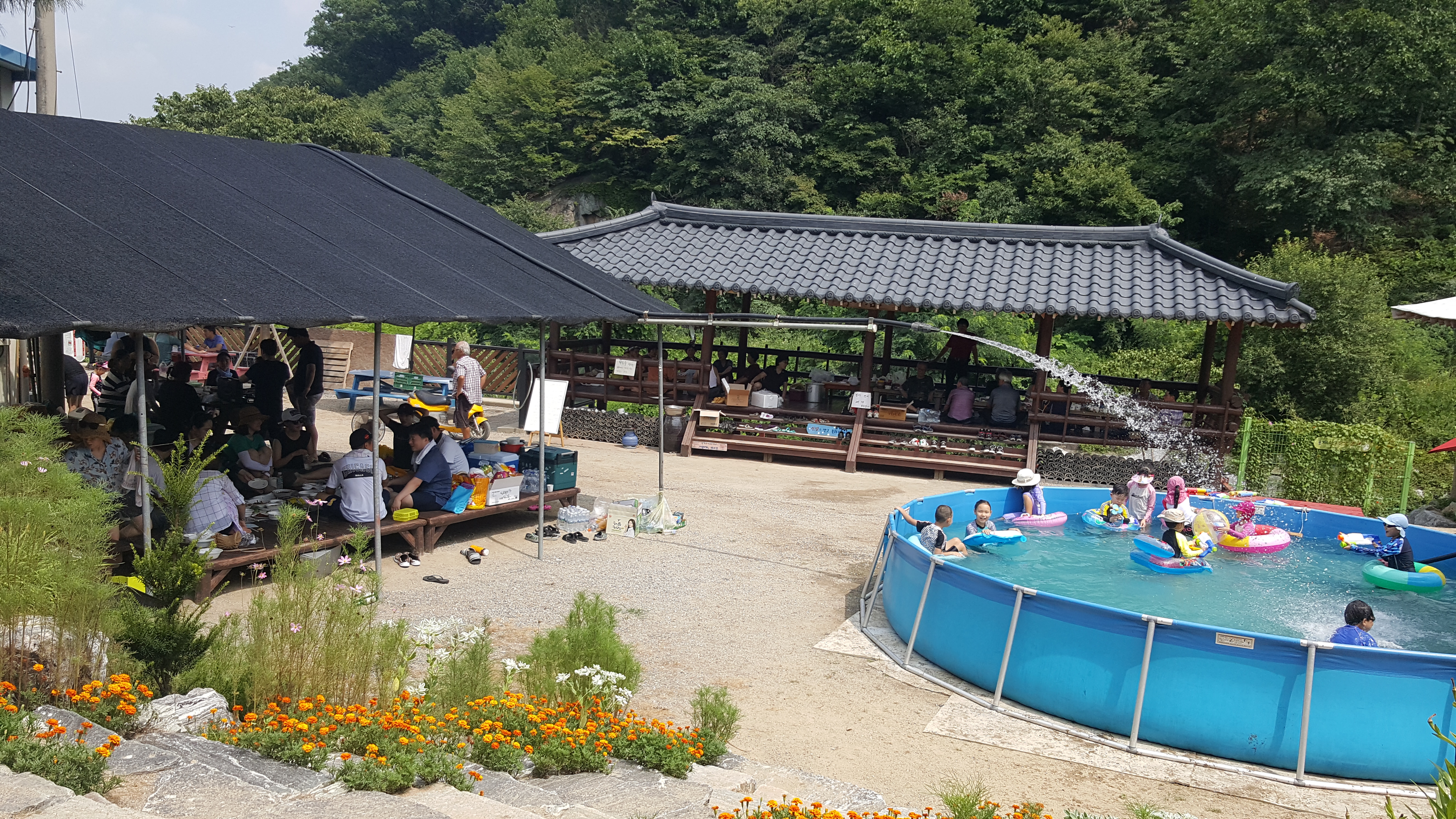 20180728_140513.jpg
