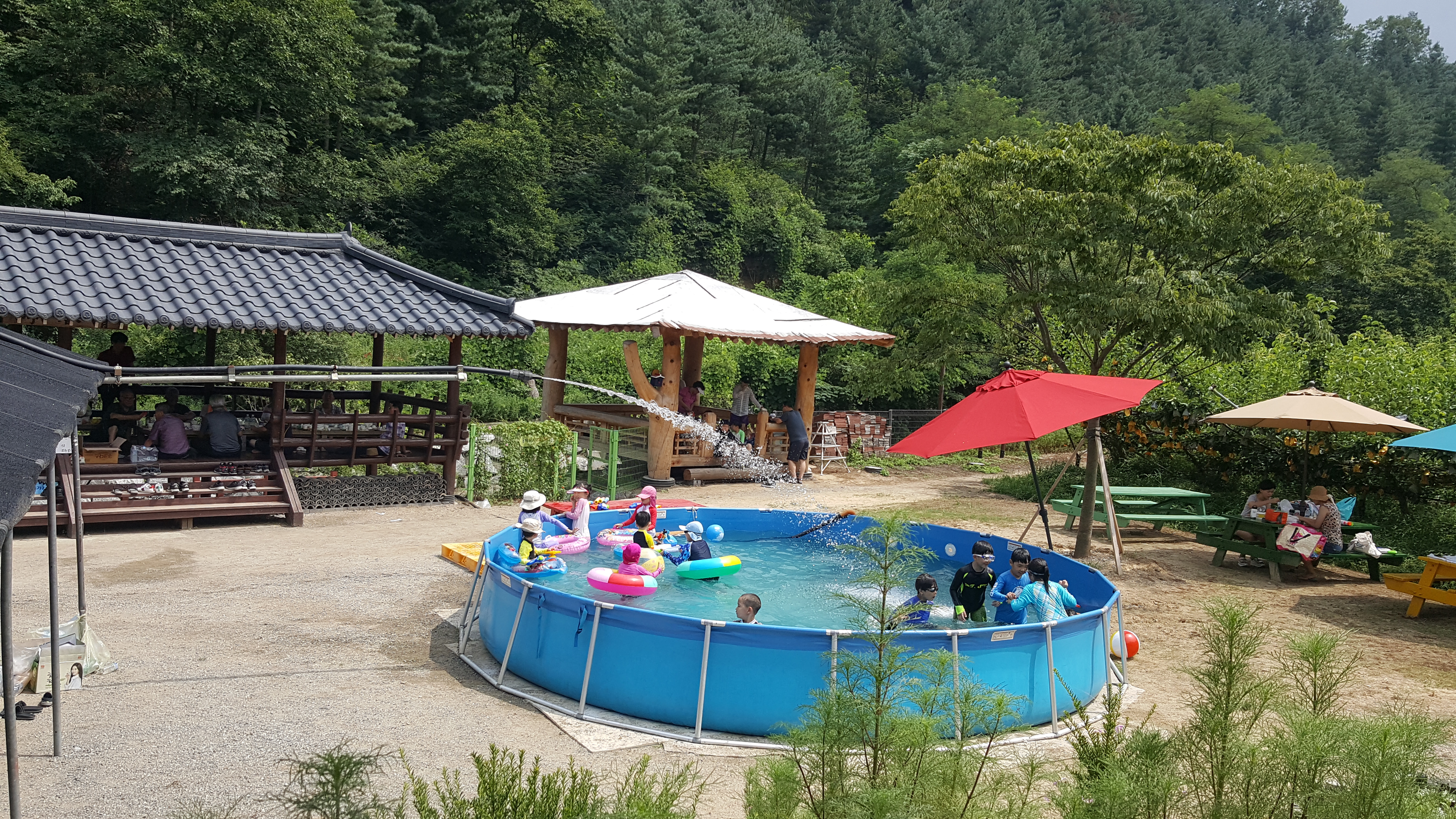 20180728_140532.jpg
