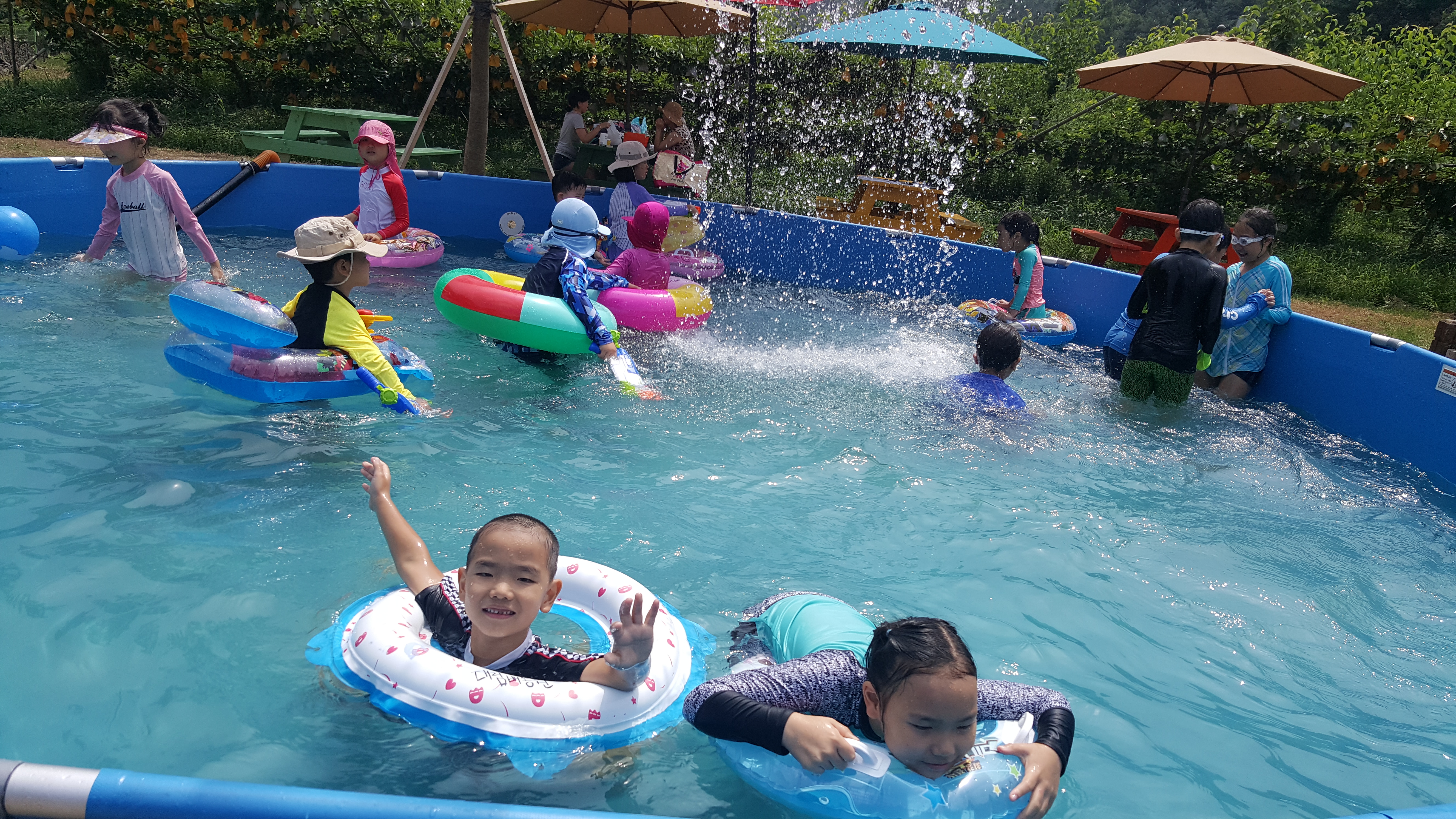 20180728_140610.jpg