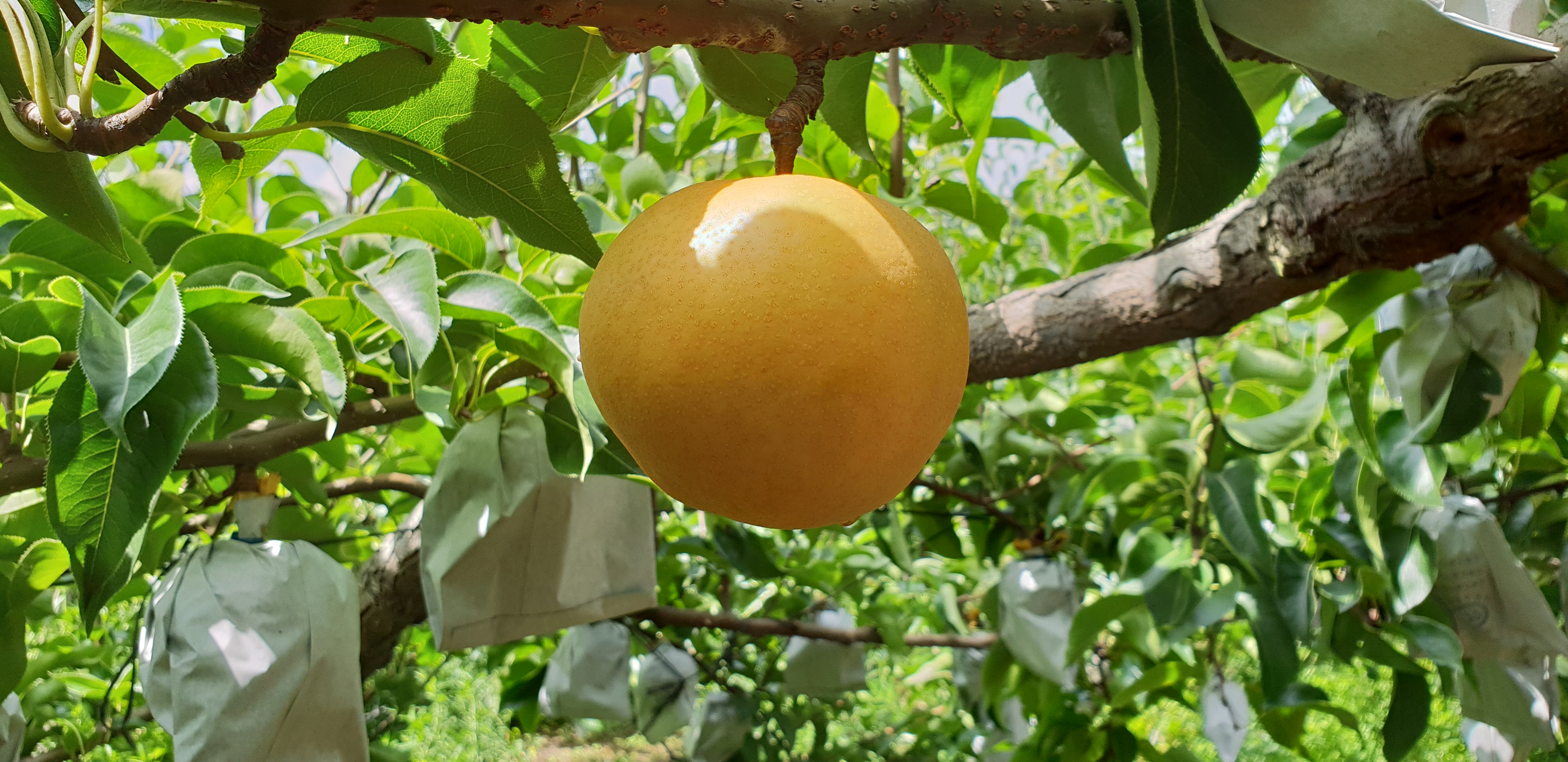 20180811_113638.jpg